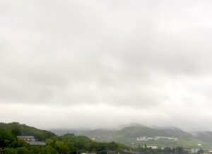 淡路島も今日は終日、雨️でした家でお仕事してました。午前中はマシでしたが、午後からは風…